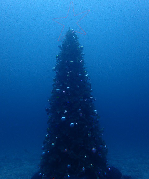 水深２０ｍに設置されたクリスマスツリー