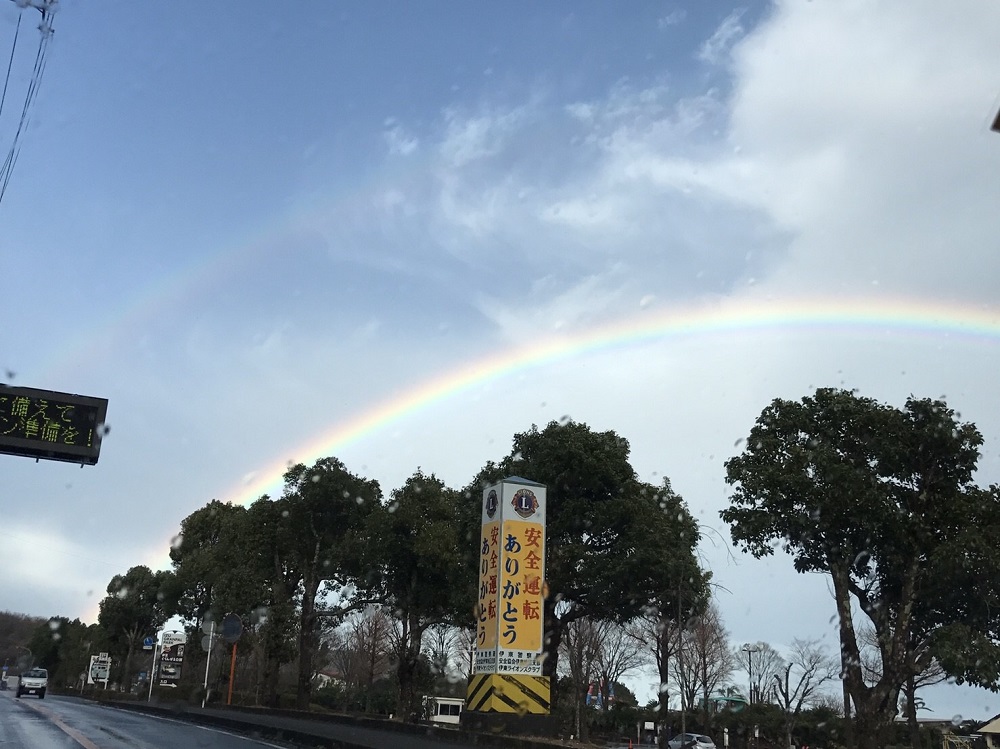 大雨のち虹