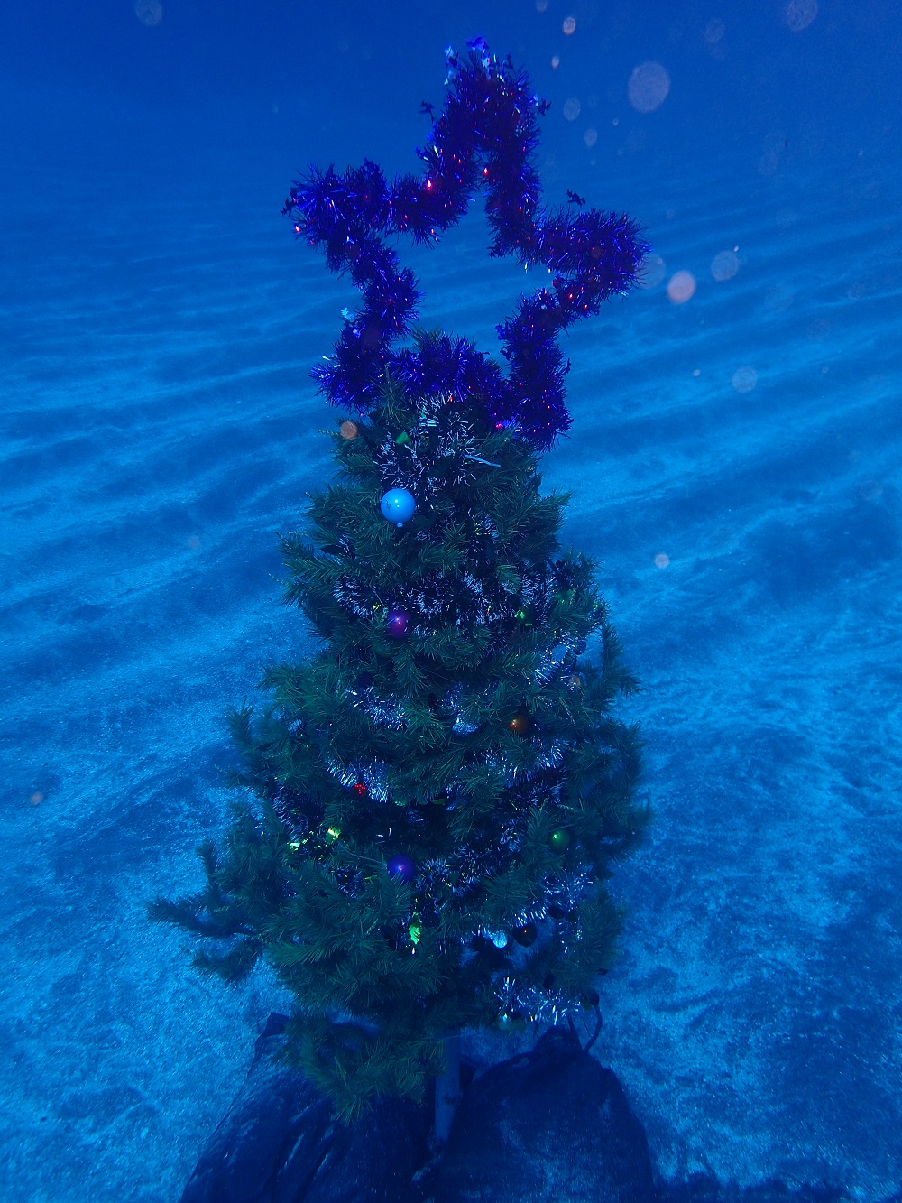 簡易クリスマスツリー