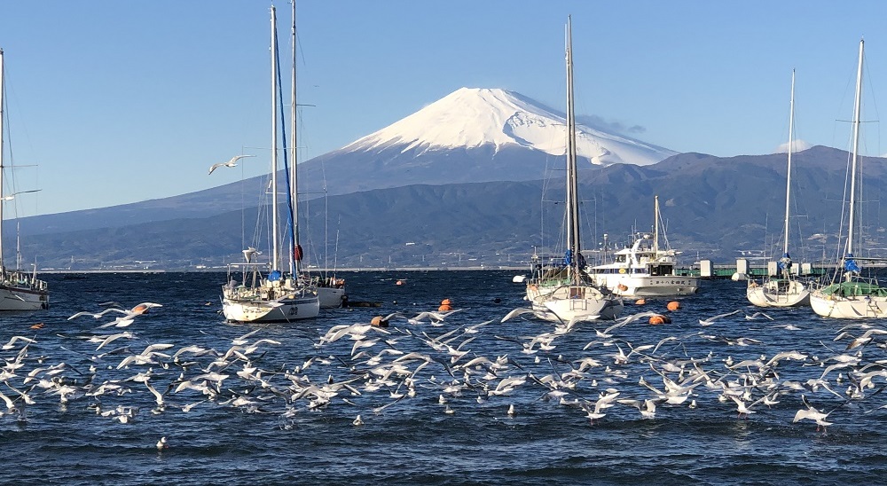 世界遺産・富士山と伊豆の風景