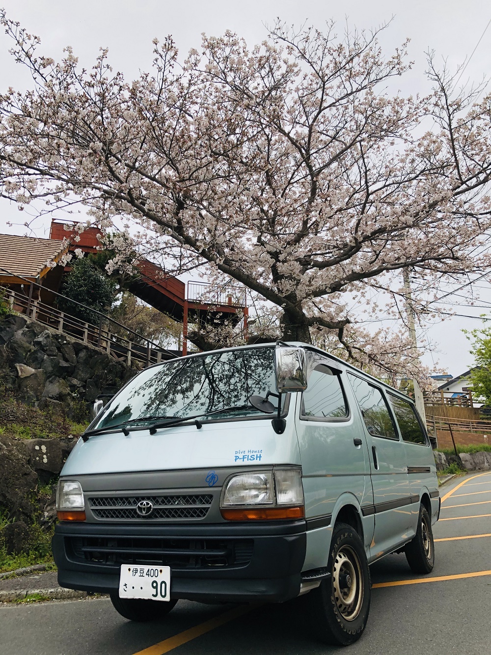 桜とピーフィッシュ１号車