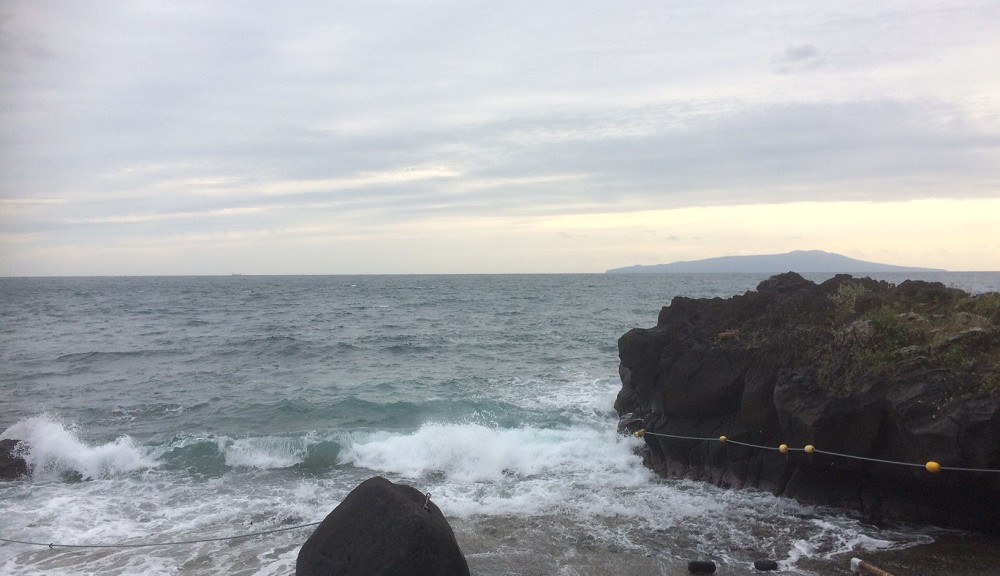 今日の伊豆海洋公園、段々うねりの波も小さくなってきています。